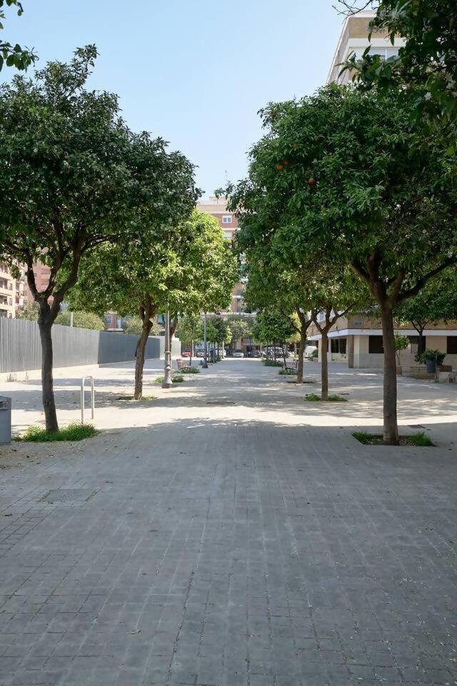 Romantic Roig Arena N4 Virkin * Valence